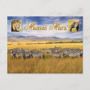 Cartão Postal Vida selvagem de Maasai Mara no Quênia