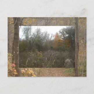 Cartão Postal vida selvagem de outono