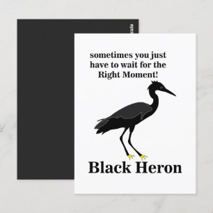 Cartão Postal Vida Selvagem de Pássaros Negros Heron Egret