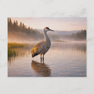 Cartão Postal Vida Selvagem Grou-da-areia Pântano