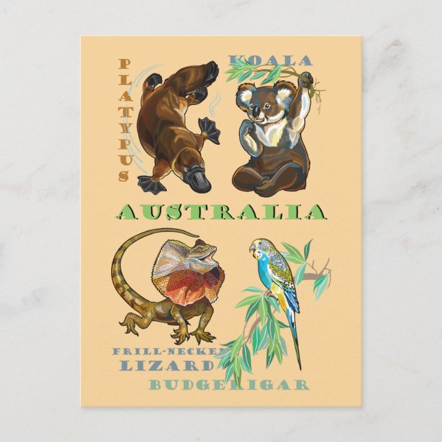 Cartão Postal Vida selvagem na Austrália (Frente)