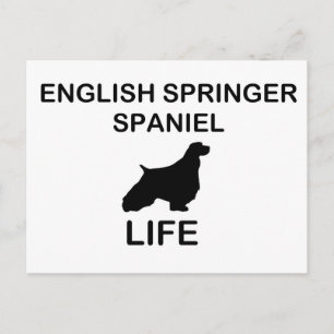 Cartão Postal Vida útil do silo espanhol do Springer2