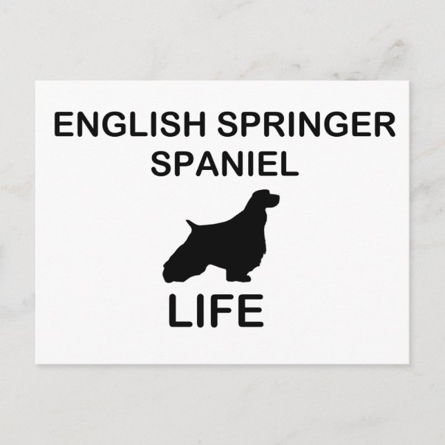 Cartão Postal Vida útil do silo espanhol do Springer2 (Frente)