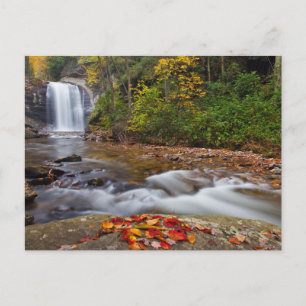 Cartão Postal Vidro Cai Pisgah Floresta Nacional