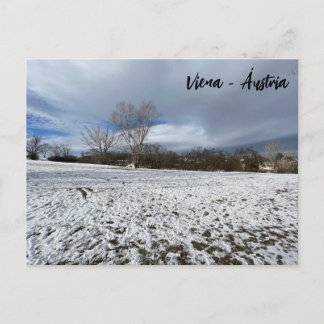 Cartão Postal Viena - Áustria