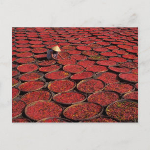 Cartão Postal Vietnã. Secagem de doces em cestos sob o