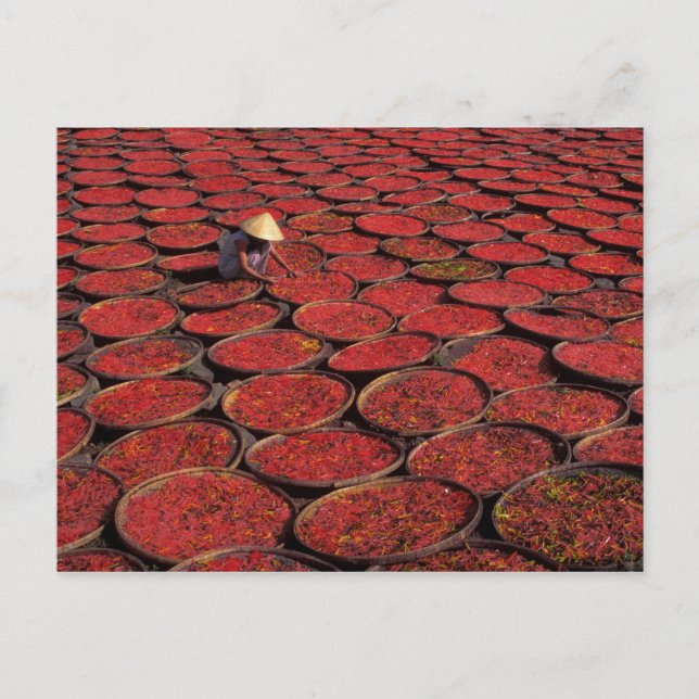 Cartão Postal Vietnã. Secagem de doces em cestos sob o regime (Frente)