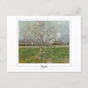 Cartão Postal Vincent Van Gogh #20-3 - Belas Artes