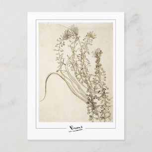 Cartão Postal Vincent Van Gogh #356-3 - Belas Artes