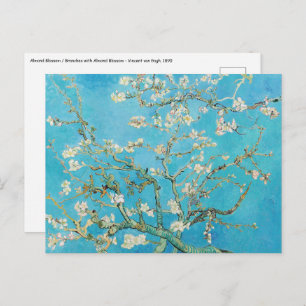 Cartão Postal Vincent van Gogh - Almond Blossom