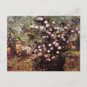 Cartão Postal Vincent Van Gogh - Arbusto de Rosas em Flor Arte F