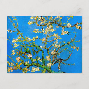 Cartão Postal Vincent Van Gogh - Blossoming Almond Tree Fine Art