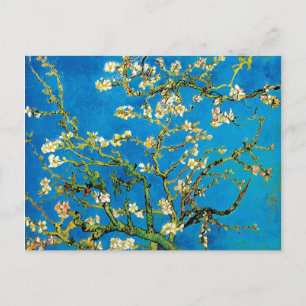 Cartão Postal Vincent Van Gogh - Blossoming Almond Tree Fine Art