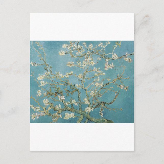 Cartão Postal Vincent Van Gogh Branches of Almond Tree (Frente)
