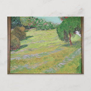 Cartão Postal Vincent van Gogh   Campo à luz do sol, 1888