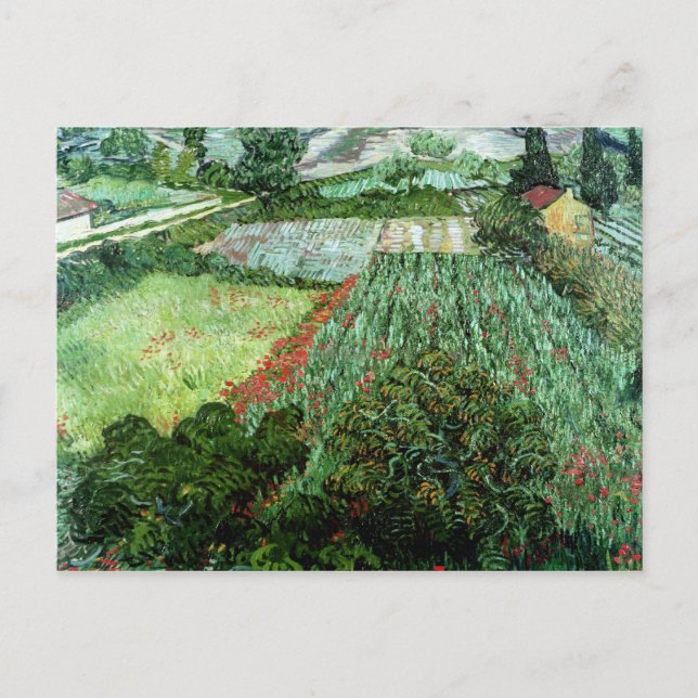 Cartão Postal Vincent van Gogh | Campo com papas, 1889 (Frente)