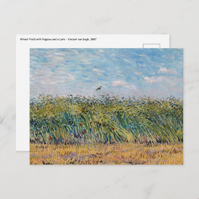 Cartão Postal Vincent van Gogh - Campo de Trigo com uma Cotovia (Frente/Verso)