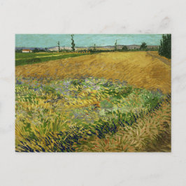 Cartão Postal Vincent Van Gogh, Campo de Trigo, Korenveld