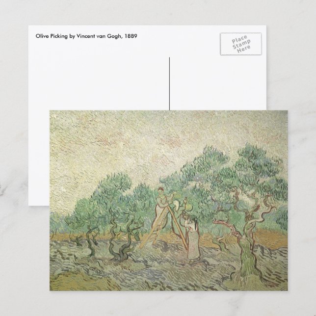 Cartão Postal Vincent van Gogh - Colheita de Azeitonas (Frente/Verso)