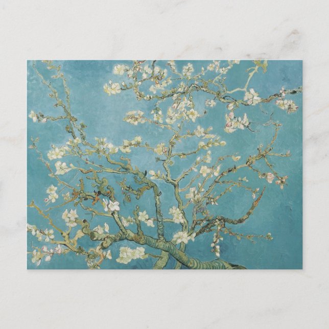 Cartão Postal vincent van gogh, flores de amendoeira (Frente)