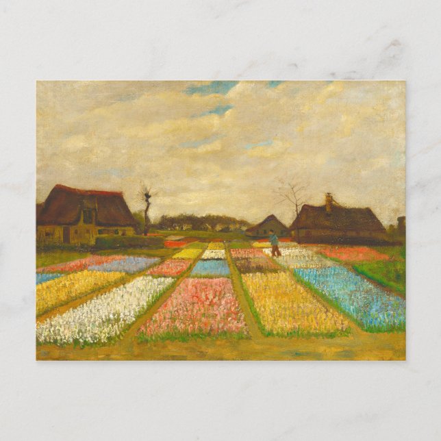 Cartão Postal Vincent van Gogh Flower Beds na Holanda (Frente)