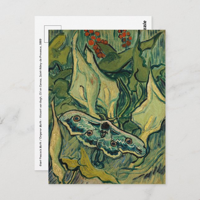 Cartão Postal Vincent van Gogh - Giant Peacock Moth (Frente/Verso)