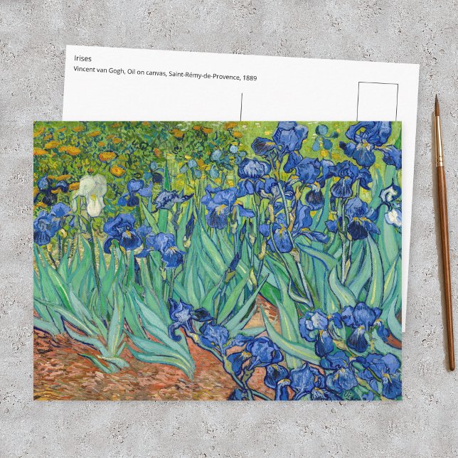 Cartão Postal Vincent Van Gogh - Íris (Criador carregado)