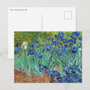Cartão Postal Vincent Van Gogh - Íris
