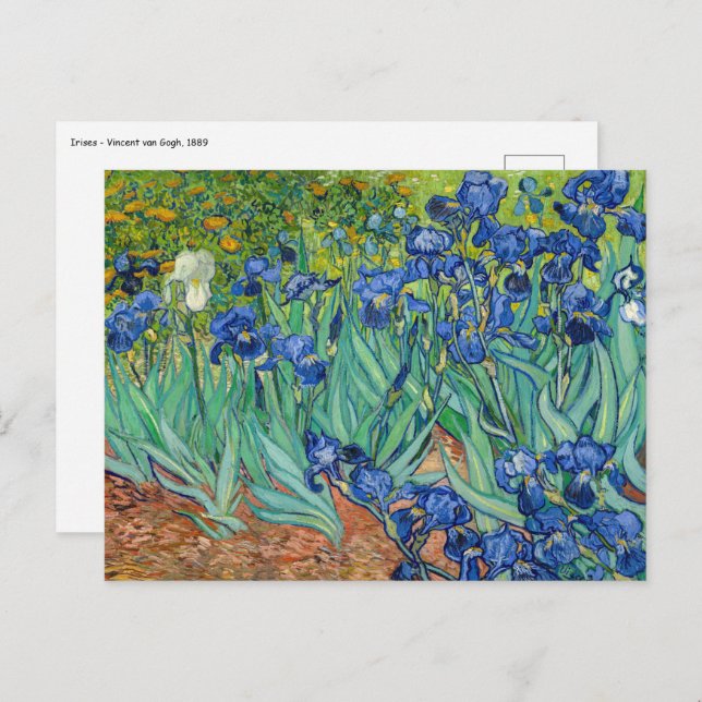 Cartão Postal Vincent Van Gogh - Íris (Frente/Verso)