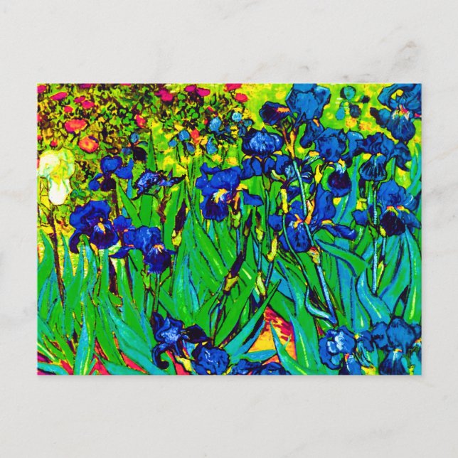 Cartão Postal Vincent Van Gogh - Íris - Amante de Flores Pop Art (Frente)