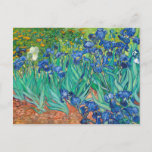 Cartão Postal Vincent Van Gogh Irises Floral Vintage Fine Art<br><div class="desc">Vincent Van Gogh Irises Floral Vintage Fine Art Cartão postal</div>