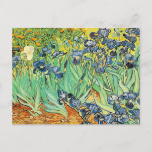 Cartão Postal Vincent Van Gogh - Irrises