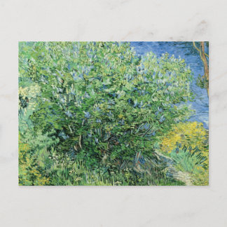 Cartão Postal Vincent Van Gogh - Lilacs