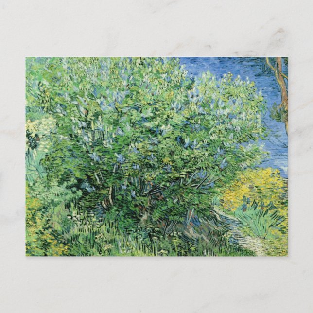 Cartão Postal Vincent Van Gogh - Lilacs (Frente)
