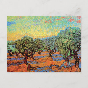 Cartão Postal Vincent Van Gogh - Olival com Céu Alaranjado