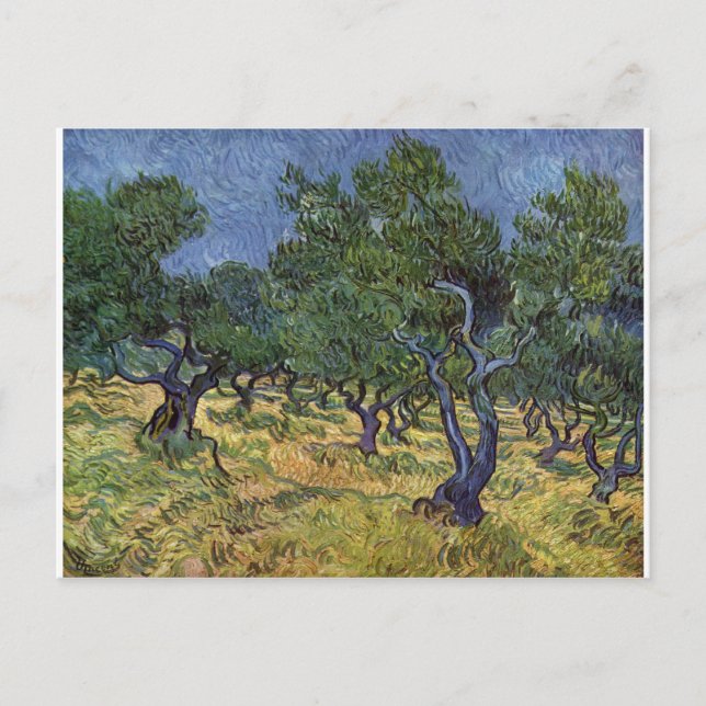 Cartão Postal Vincent van Gogh - Olive Grove (Frente)