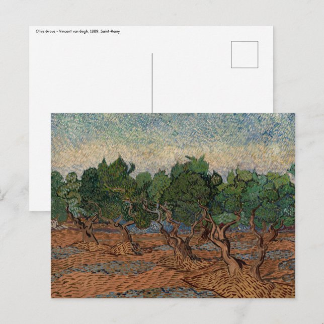 Cartão Postal Vincent van Gogh - Olive Grove (Frente/Verso)