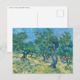 Cartão Postal Vincent van Gogh - Olive Grove