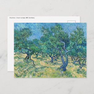 Cartão Postal Vincent van Gogh - Olive Grove
