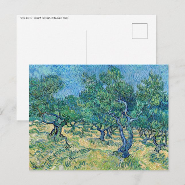 Cartão Postal Vincent van Gogh - Olive Grove (Frente/Verso)