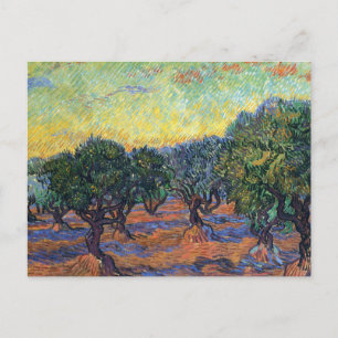 Cartão Postal Vincent Van Gogh Olive Grove Impressionismo Arte
