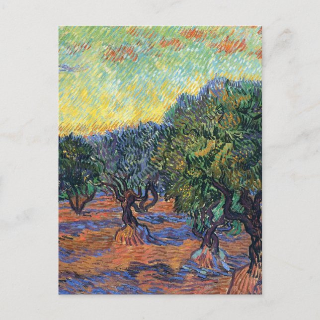 Cartão Postal Vincent Van Gogh Olive Grove Impressionismo Arte (Frente)