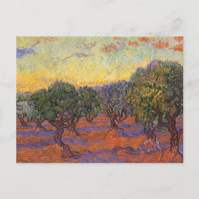 Cartão Postal Vincent van Gogh - Olive Grove, Orange Sky (Frente)