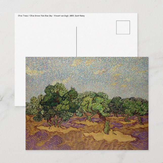 Cartão Postal Vincent van Gogh - Oliveiras (Frente/Verso)