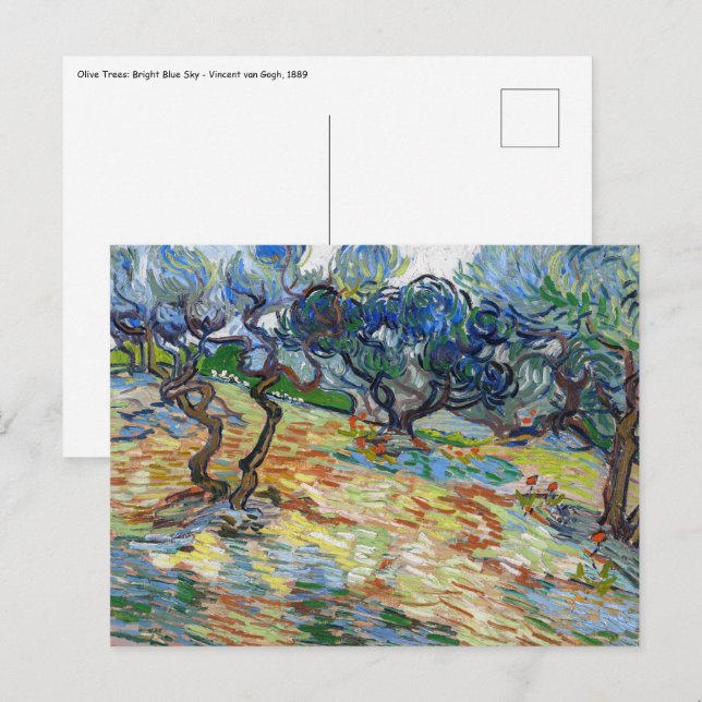 Cartão Postal Vincent van Gogh - Oliveiras: Céu azul brilhante (Frente/Verso)