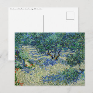 Cartão Postal Vincent van Gogh - Pomar de Oliveiras