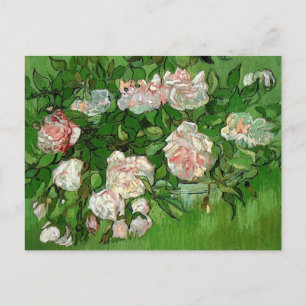 Cartão Postal Vincent Van Gogh - Rosas Rosa Ainda Vidas - Belas 