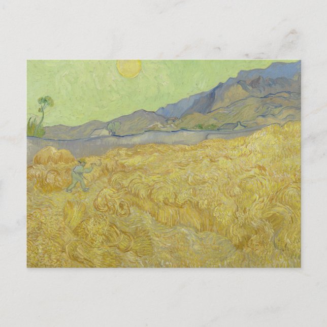 Cartão Postal Vincent van Gogh - Wheatfield com um Receptor (Frente)