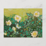 Cartão Postal Vincent Van Gogh Wild Rosas Fine Art<br><div class="desc">Cartão-postal de Rosas Bons de Arte Vincent Van Gogh</div>
