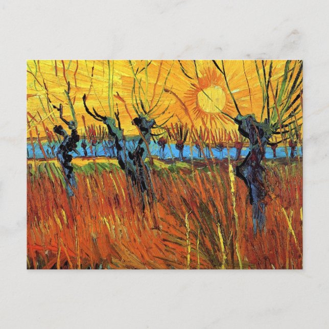 Cartão Postal Vincent Van Gogh - Willows Na Arte Bela Sunset (Frente)